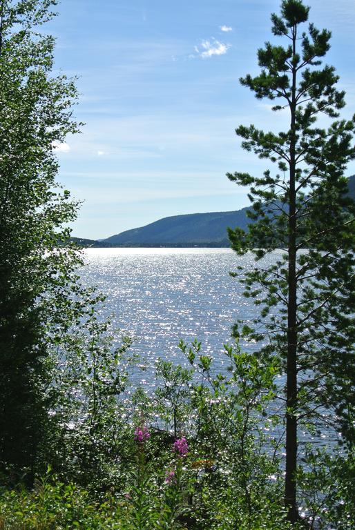 Trysil Alpin 16A Top Location Kültér fotó