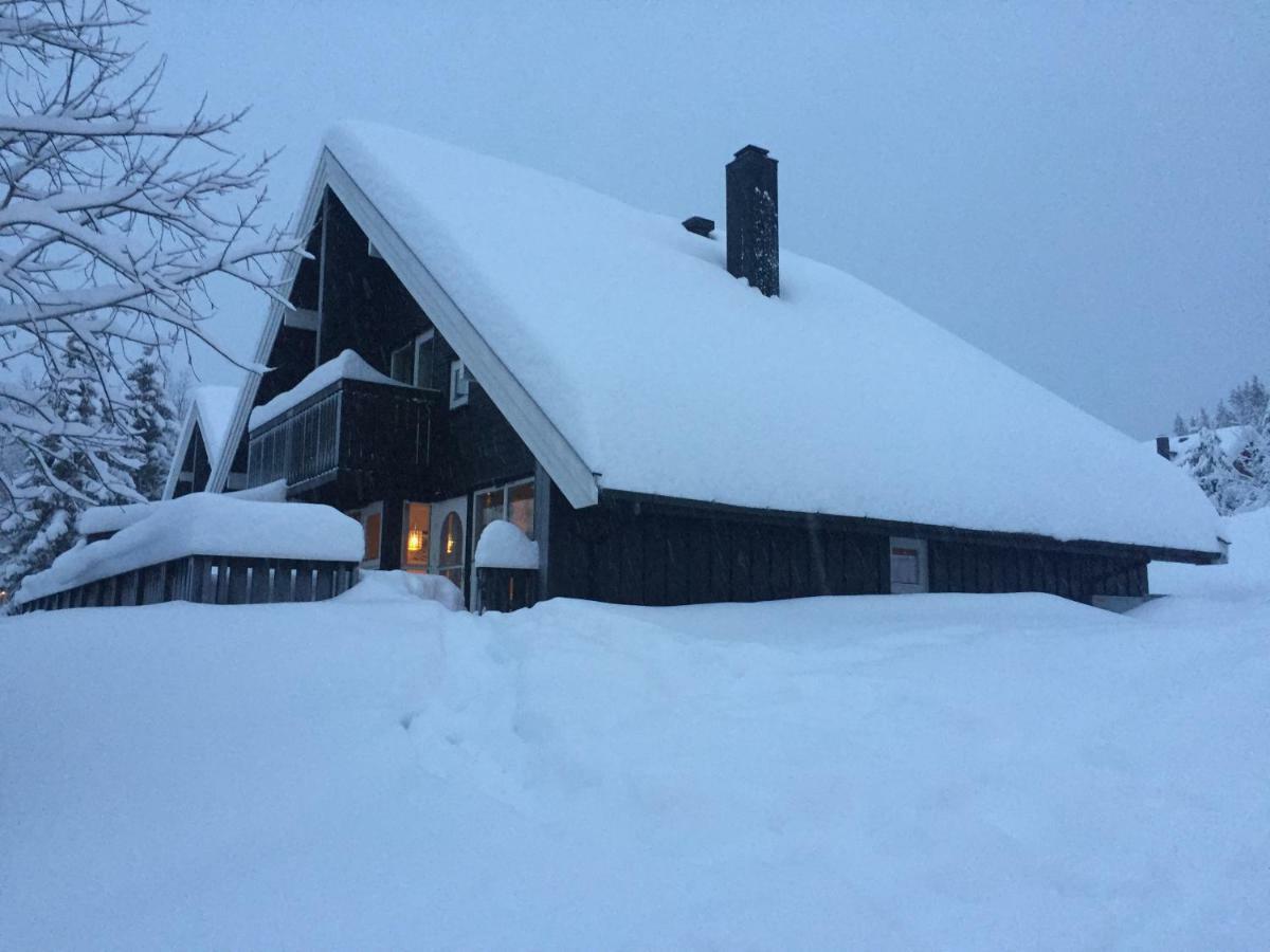 Trysil Alpin 16A Top Location Kültér fotó